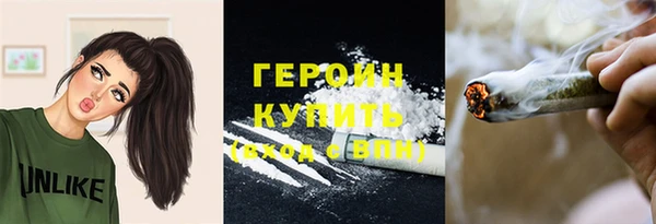 spice Богородицк