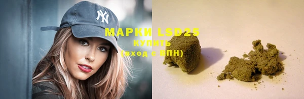 spice Богородицк