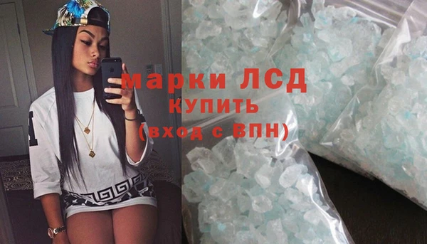 spice Богородицк