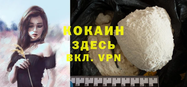 spice Богородицк